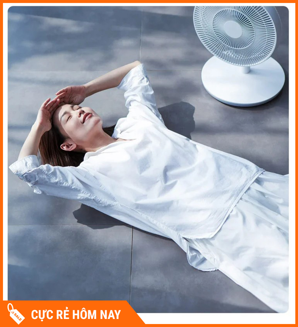 Quạt Tích Điện Đối Lưu Xiaomi Lifeite Pro – Bản Quốc Tế